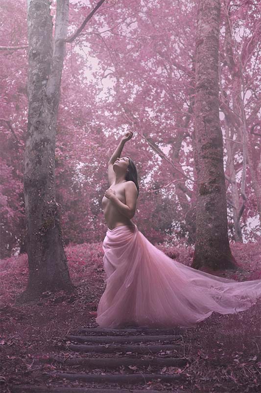 Octobre Rose La Rochelle Photographie